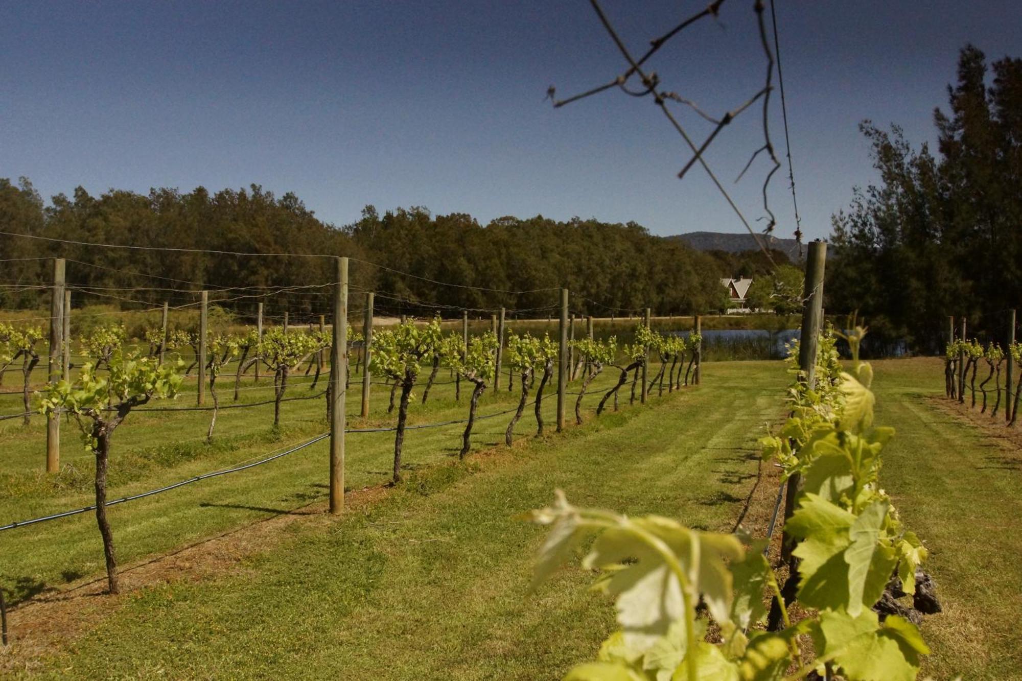 The Carriages Boutique Hotel And Vineyard Pokolbin Exterior photo