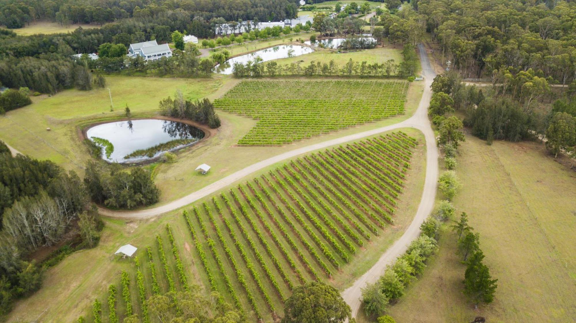 The Carriages Boutique Hotel And Vineyard Pokolbin Exterior photo